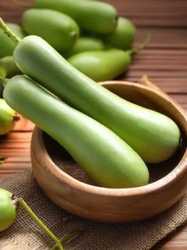 Bottle Gourd/ Lauki-1PER PIECE Net Bag