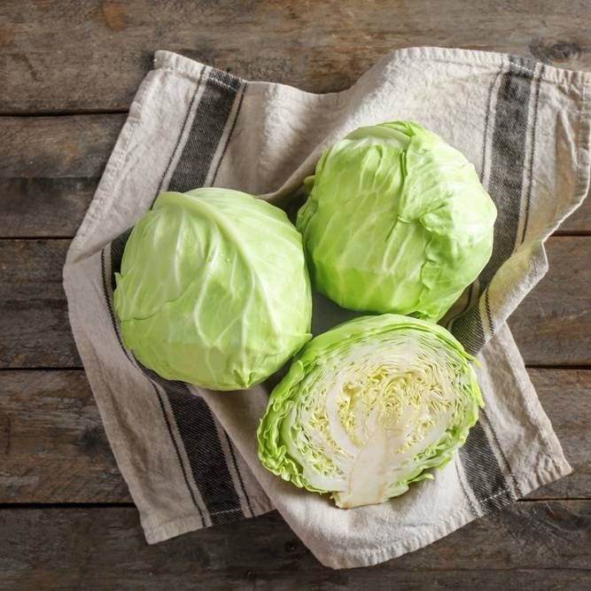 Cabbage-1PER PIECE Net Bag