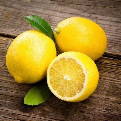 Lemon-4PER PIECES Net Bag