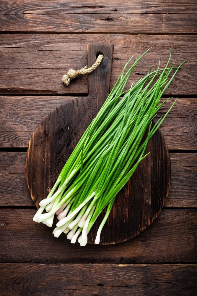 Spring Onion-200G Pack